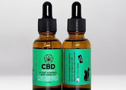 CBD Pain Relief for Your Pet