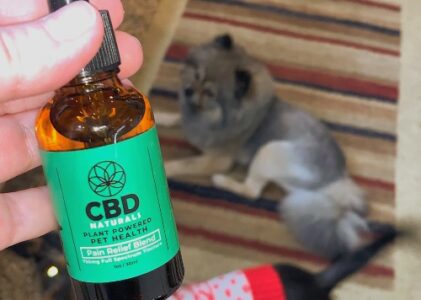 CBD and Pets